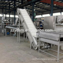 Complete cashew apple juice processing line